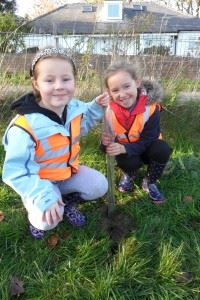 Mabel Wood Tree Planting - November 2013 (13)