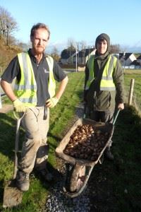 Mabel Wood Tree Planting - November 2013 (24)