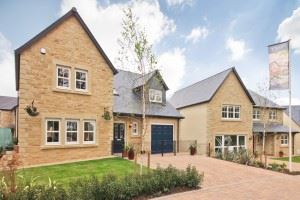 High Wood Warwick show home