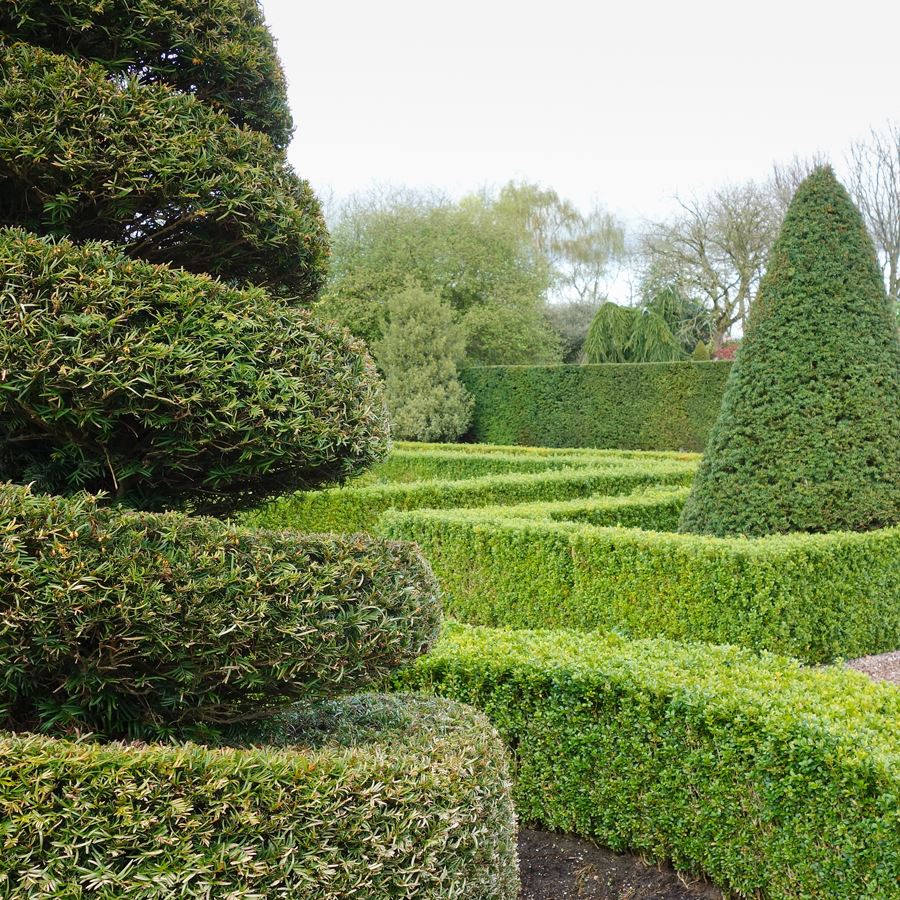 Topiary Stories