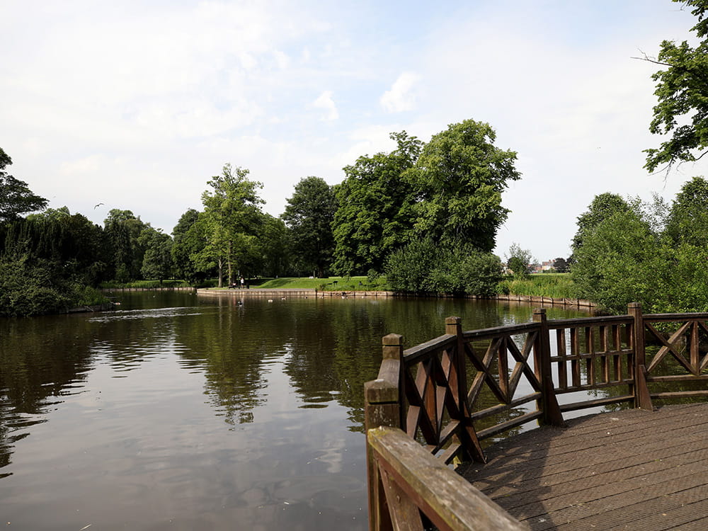 The Willows Area Photo 2