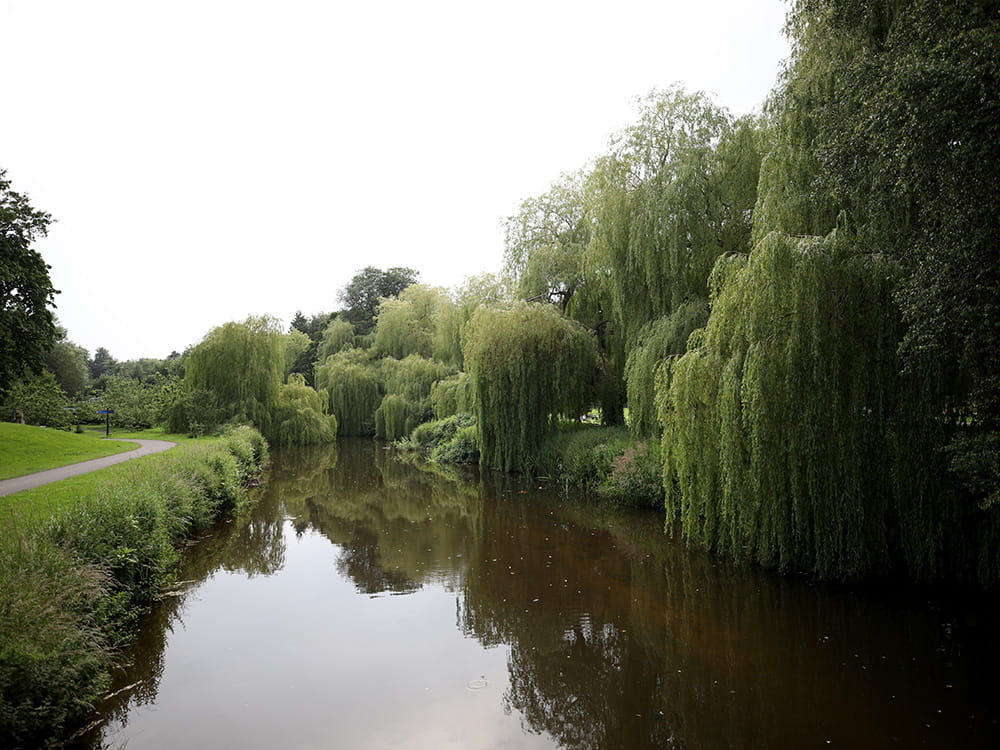 The Willows Area Photo