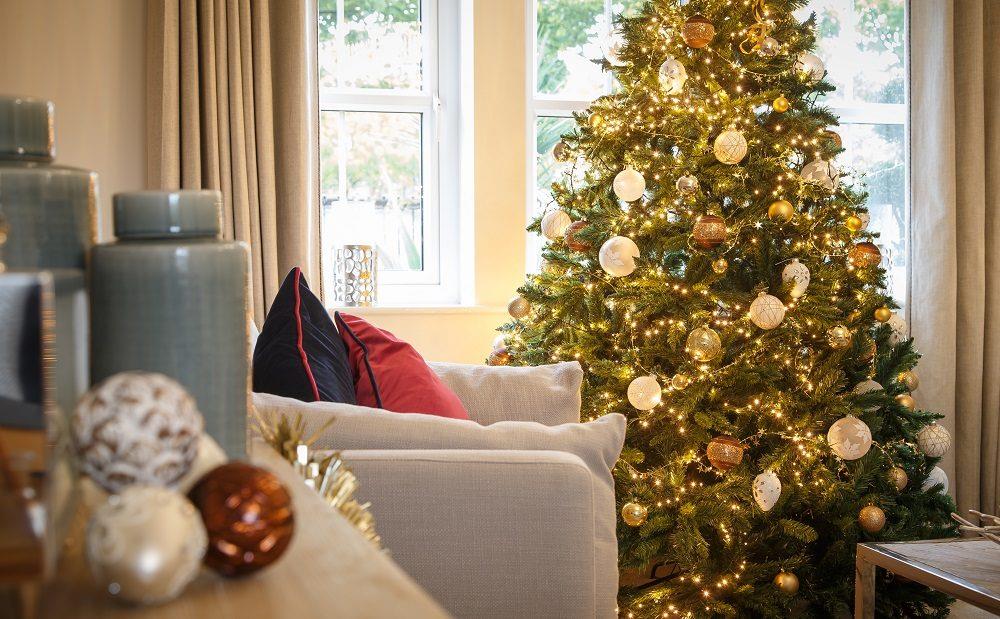 Tree In Lounge Web