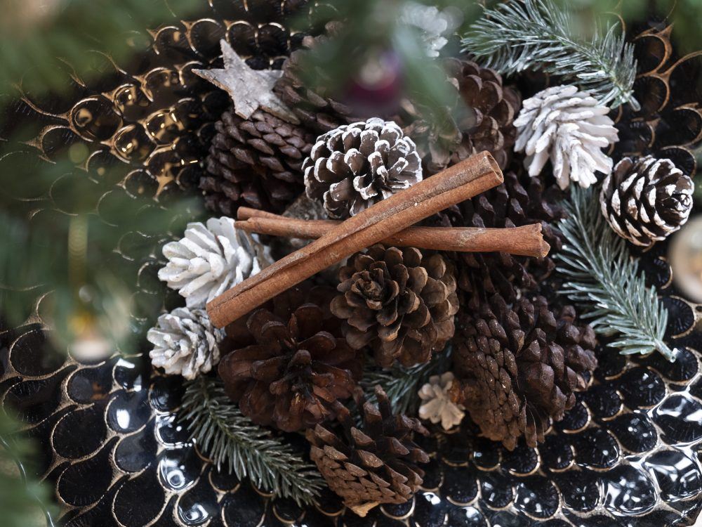 RESIZED Aspen Grange Christmas 048