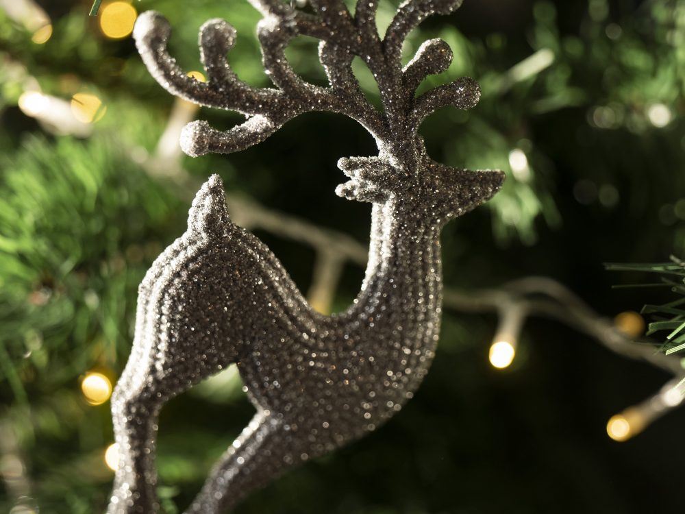 RESIZED Aspen Grange Christmas 114