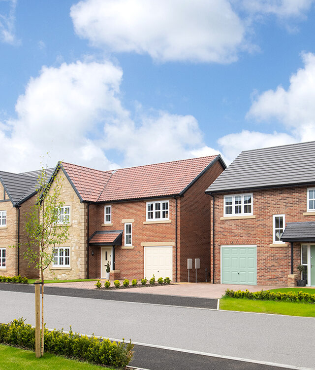 New Homes in Callerton St John’s Manor Story Homes