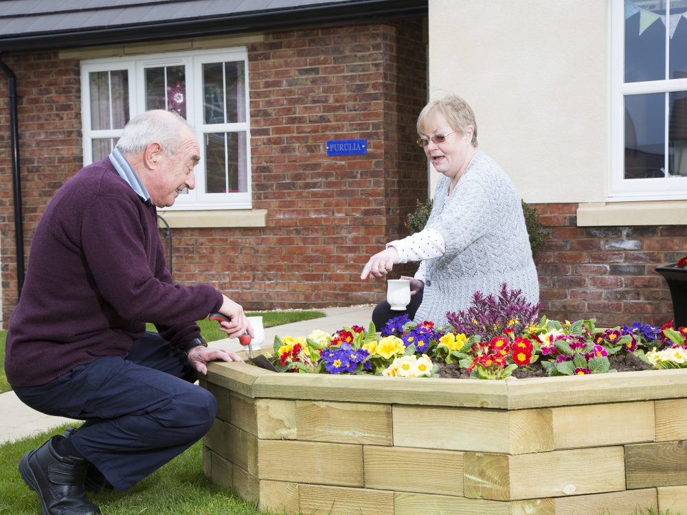 Story Homes Customer Story Thursby 29．3．2019 6476