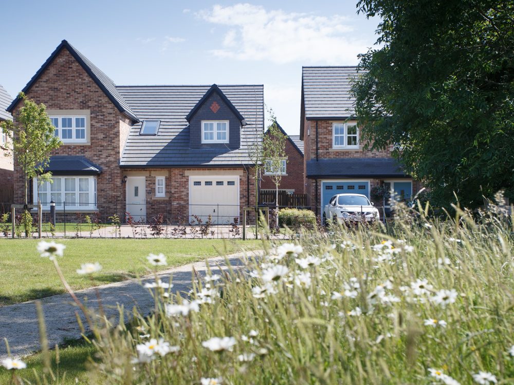 Willows Plot 3