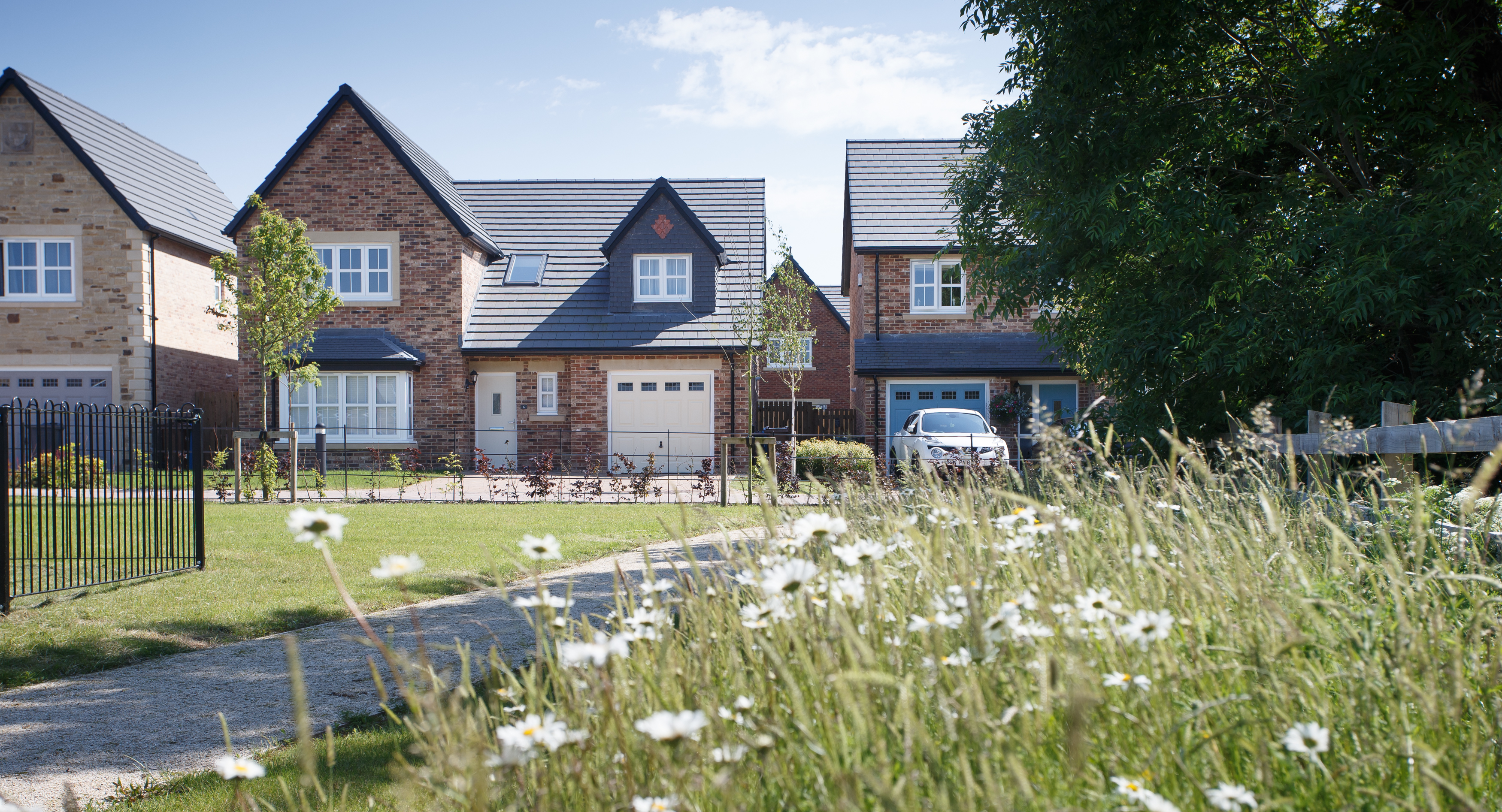 Willows Plot 3