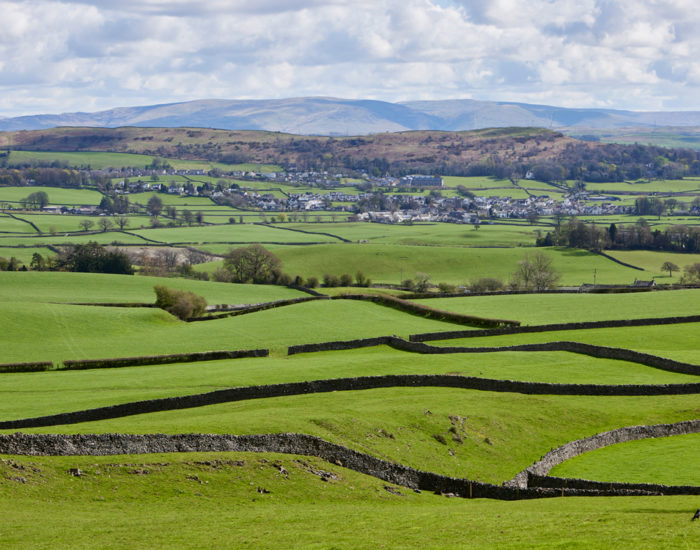 Brigsteer Rise Local Area