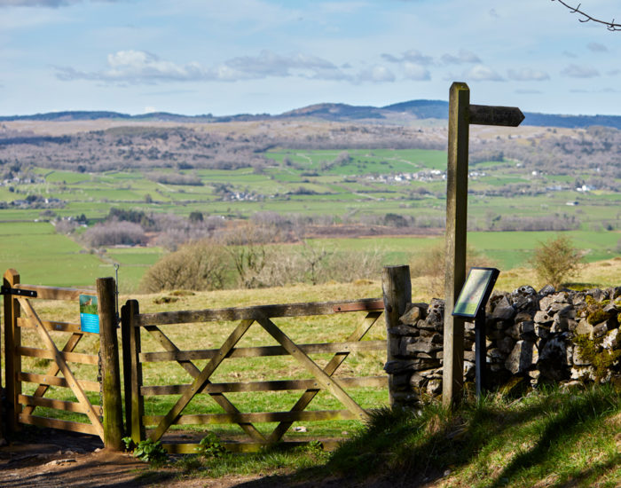 Brigsteer Rise Local Area