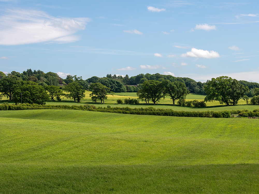 Local Area Photography Winchester Place Brampton