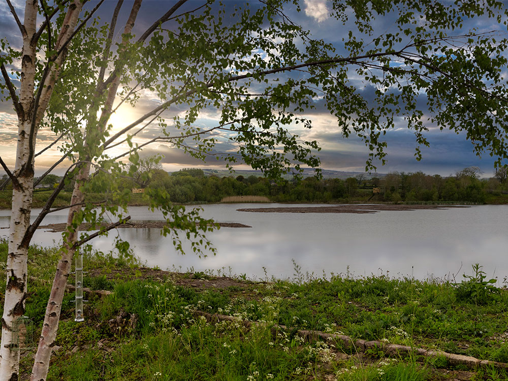 Elston Park Grimsargh Wetlands