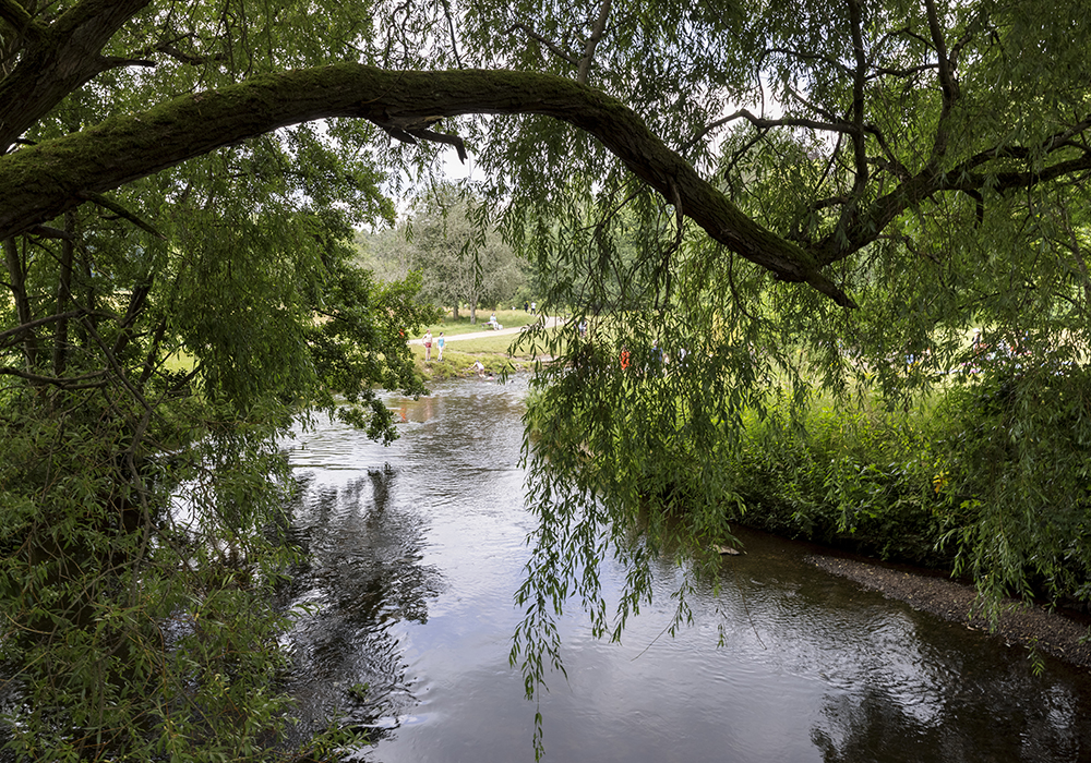 Wilmslow 013