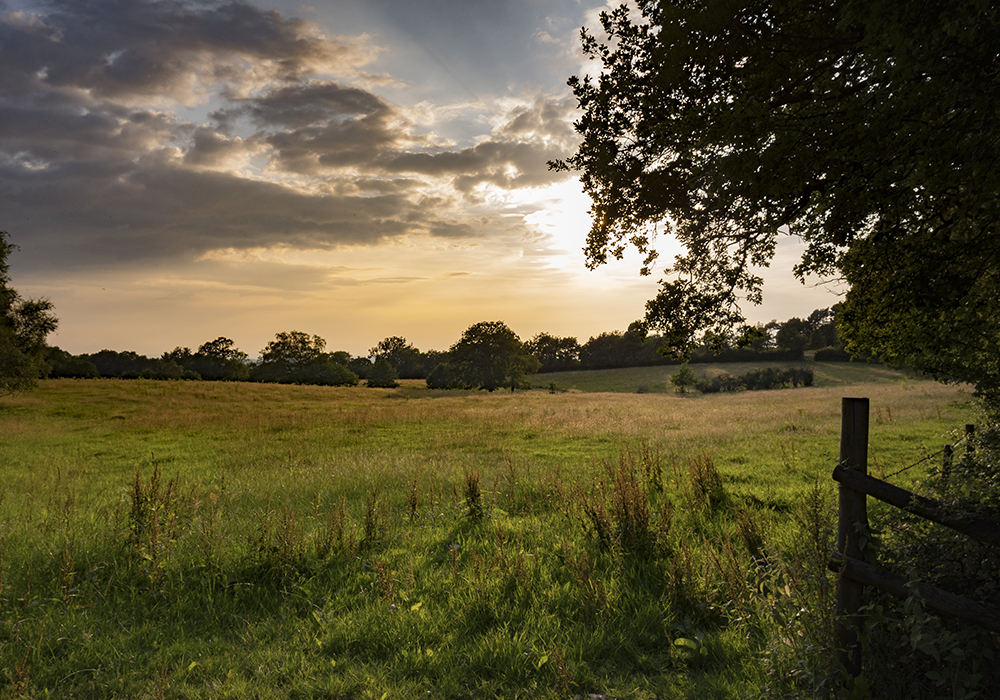 Wilmslow 029
