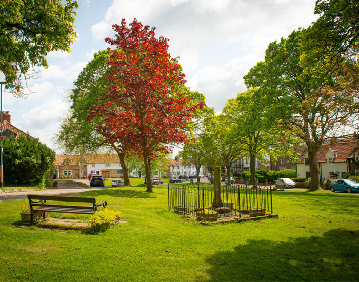 023 StoryNE Eaglescliffe LocalArea