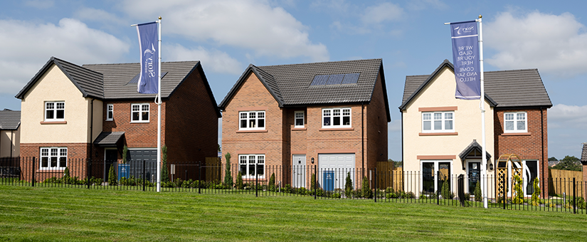 Summerpark celebrates its 15 year anniversary