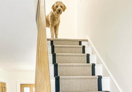 Image of customer stair case in the Masterton