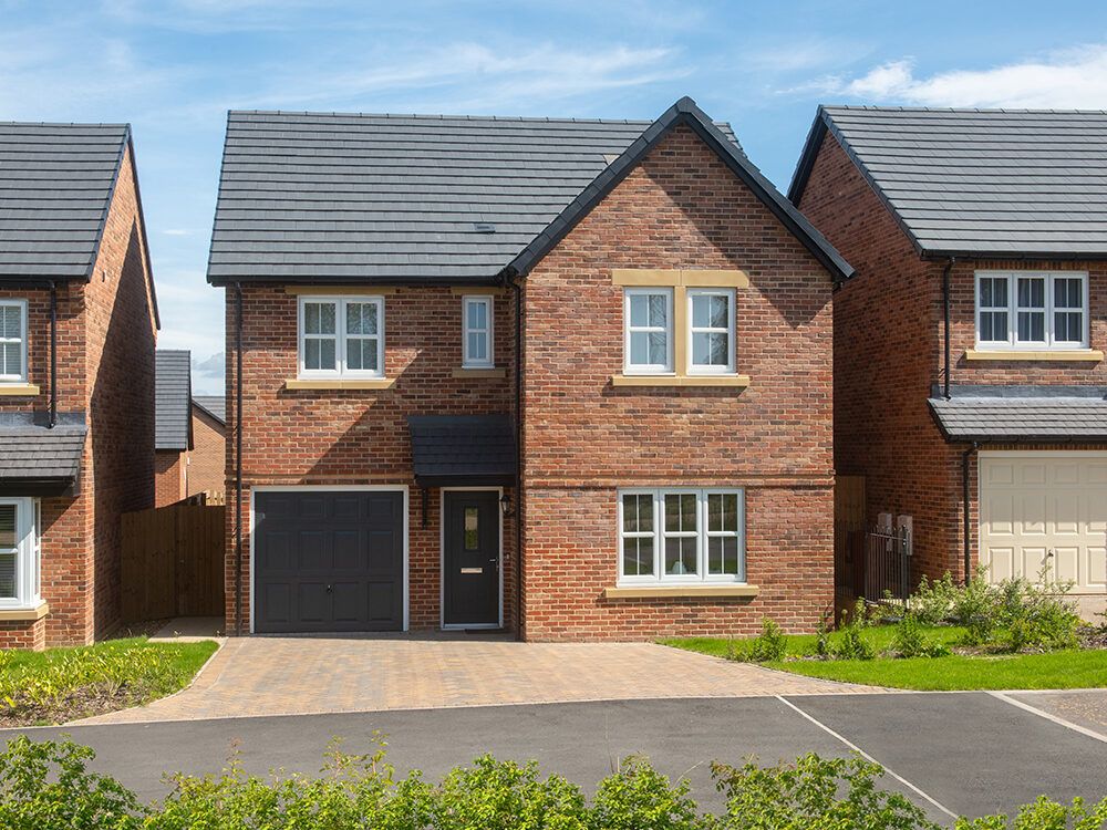 The Sycamores Plot 158 Sanderson