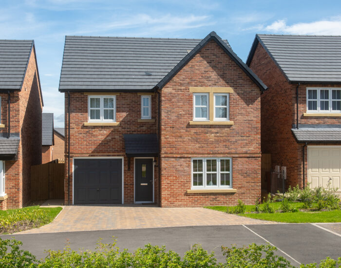 The Sycamores Plot 158 Sanderson