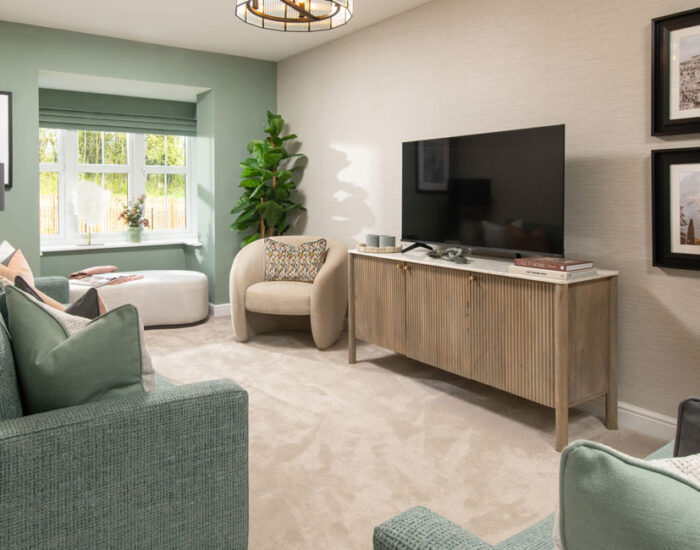 The Dawson Lounge with TV and Sofas