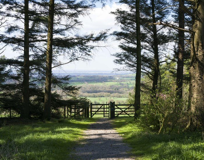 Forest Of Bowland2