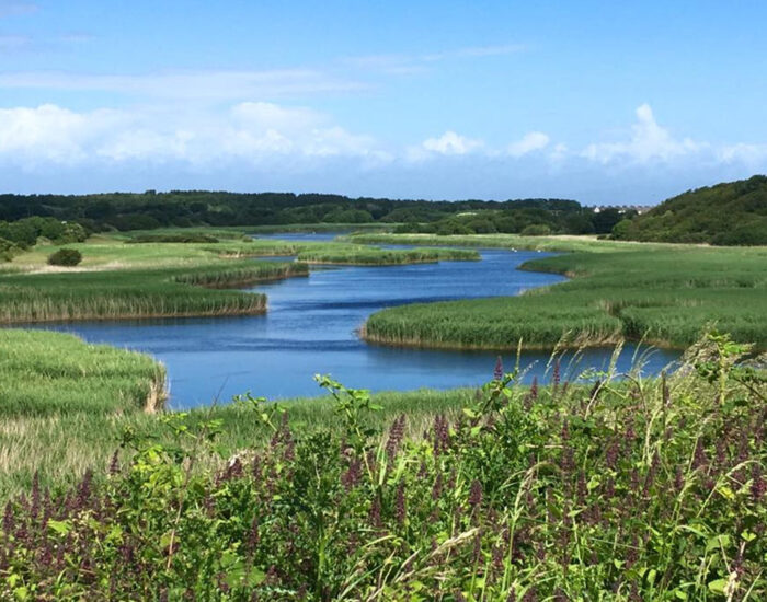 Nature_Reserve_Near_Seaton