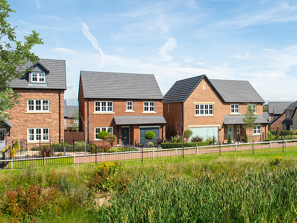 The Sycamores Street Scene Show Homes