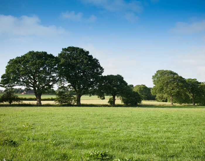 Scotby Local Area 4 1000x750