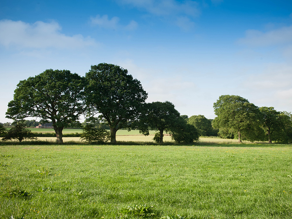 Scotby Local Area 4 1000x750