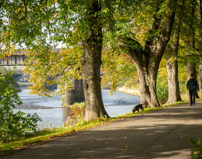 017 StoryNW WoodbridgeGreen Preston LocalArea 1000x750