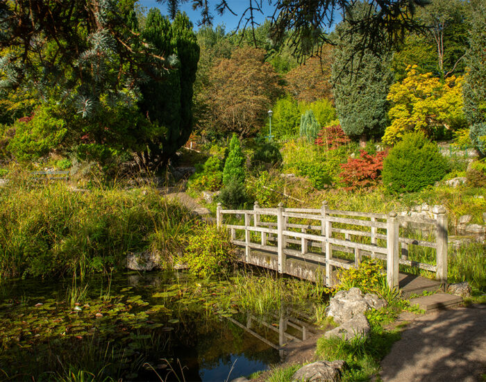 019 StoryNW WoodbridgeGreen Preston LocalArea 1000x750