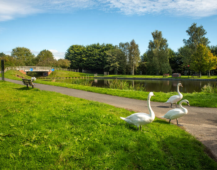 058 StoryNW WoodbridgeGreen Preston LocalArea 1000x750