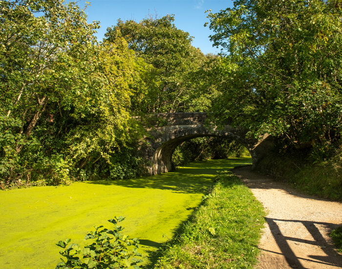 063 StoryNW WoodbridgeGreen Preston LocalArea 1000x750