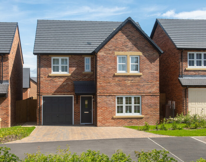 The Sycamores Plot 158 Sanderson