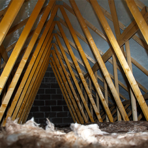 Roof Insulation