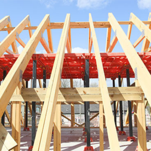 Sustainably Sourced Timber