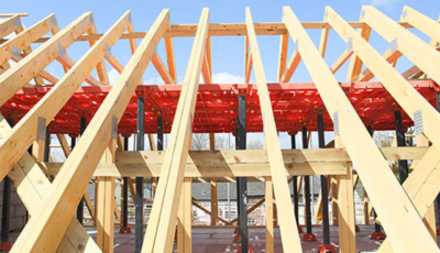 Sustainably Sourced Timber