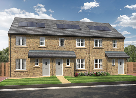 Stonebrook Meadows