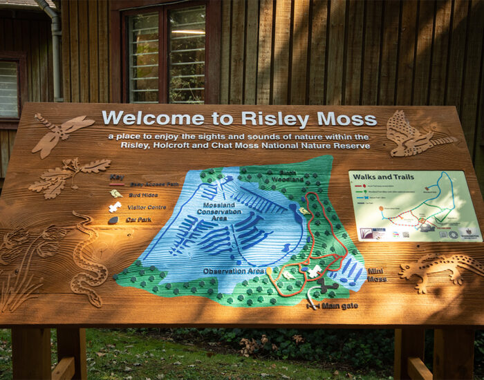 003 StoryNW Holcroft Gardens Culcheth LocalArea 1000x750