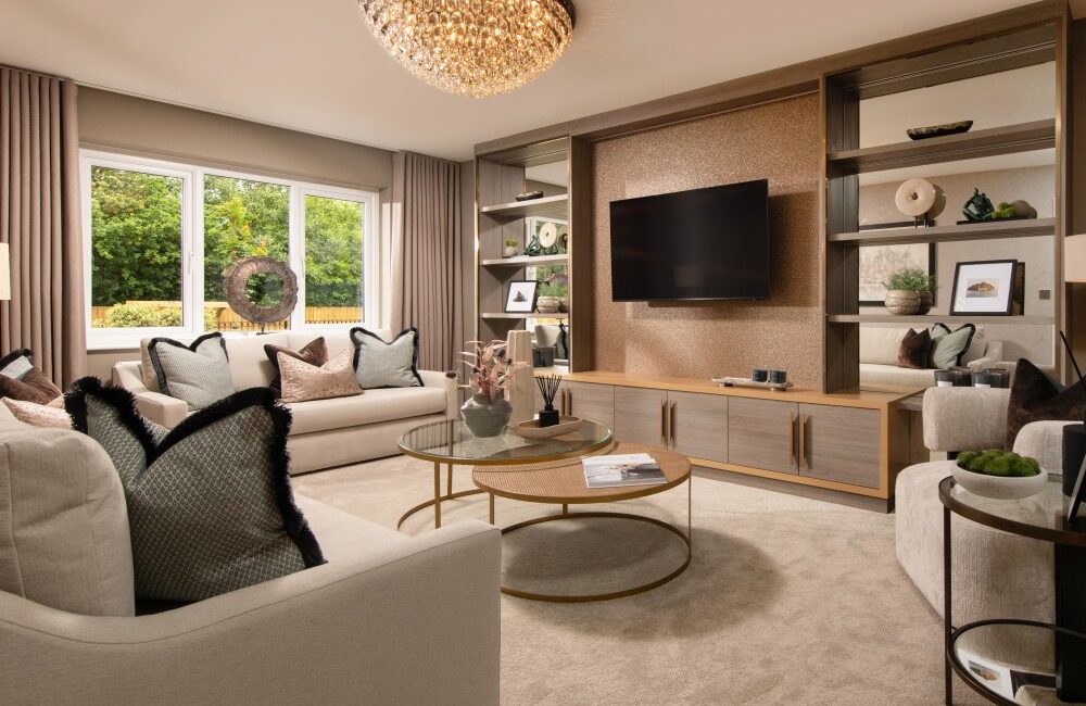 Lounge with media wall and sofas