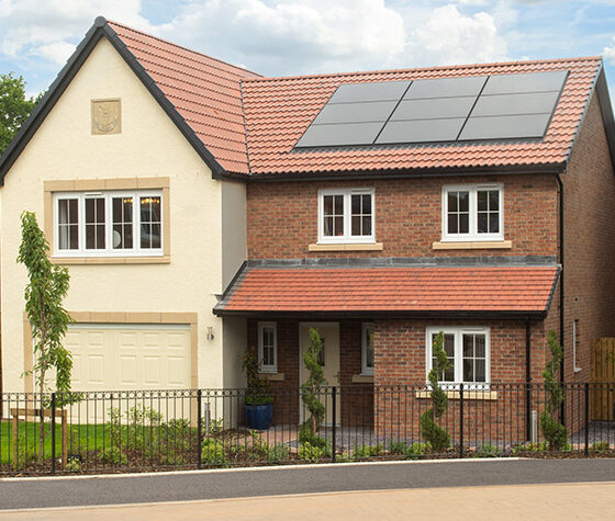 Scotby Grove Charlton