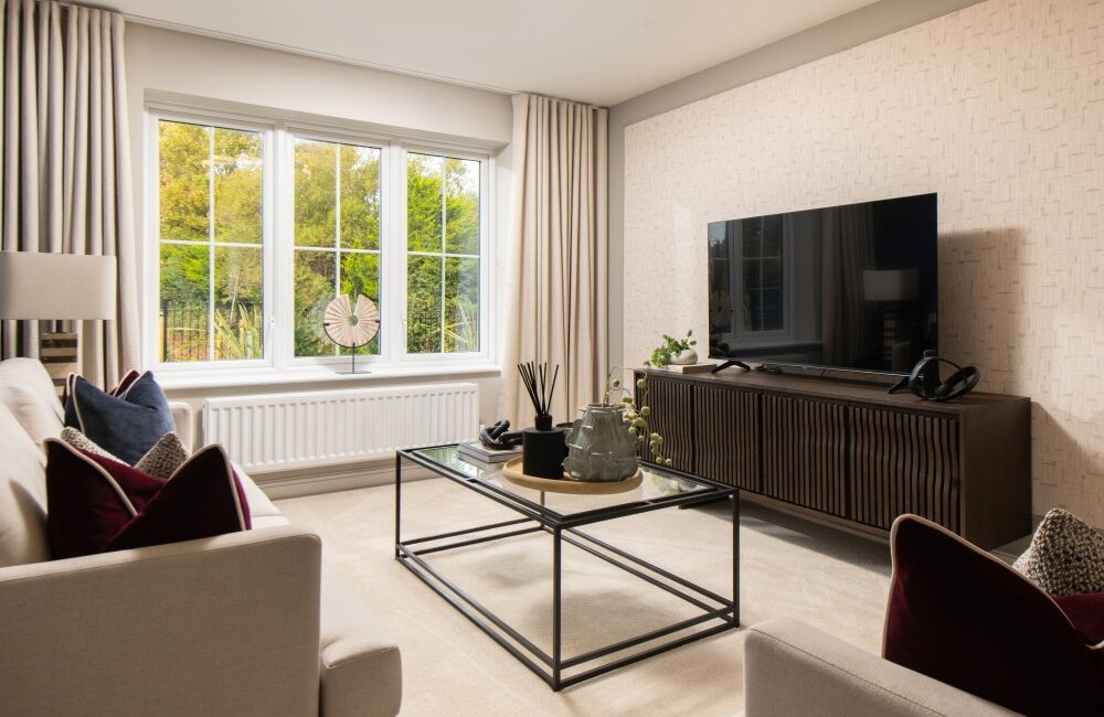 The Hartford lounge with sofas and a tv stand