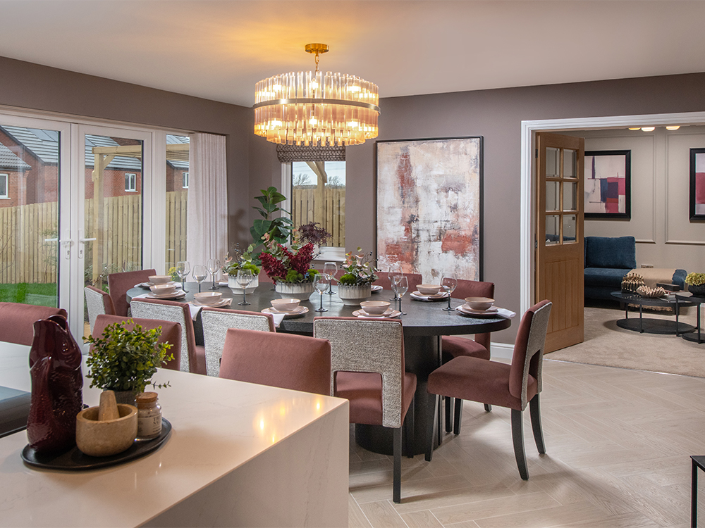 Brigsteer Rise drone image