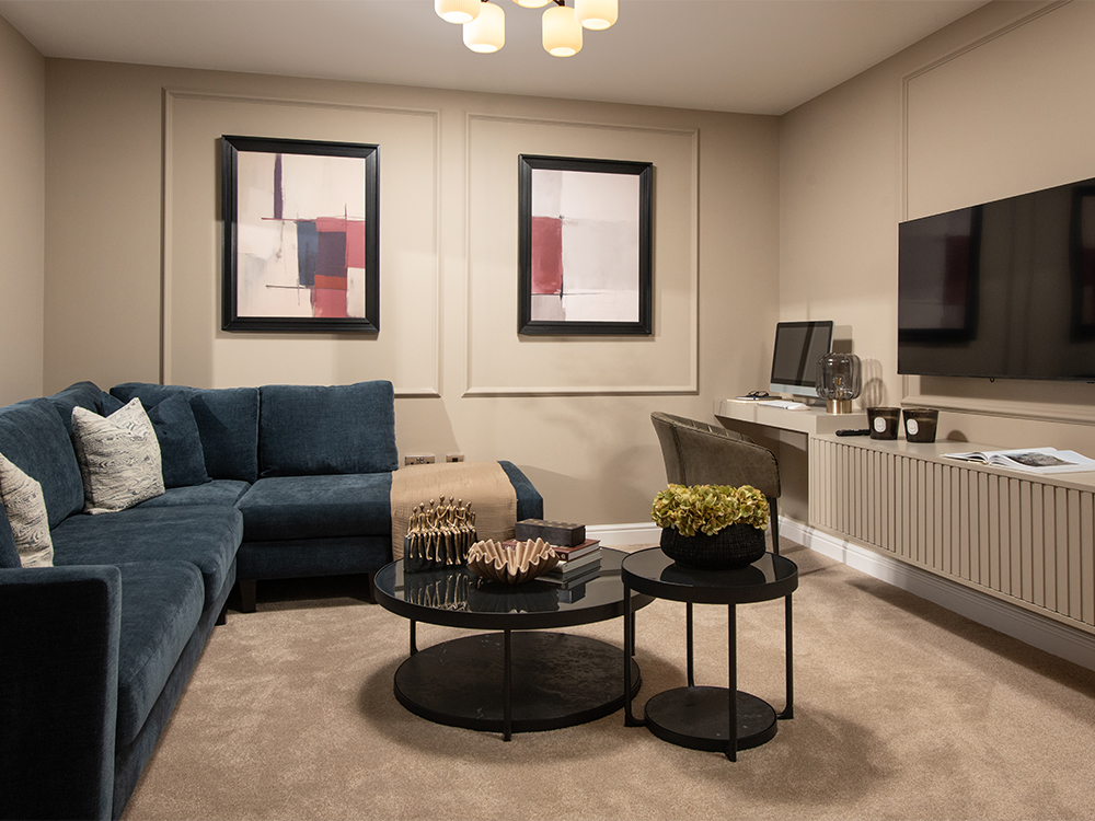 Brigsteer Rise drone image