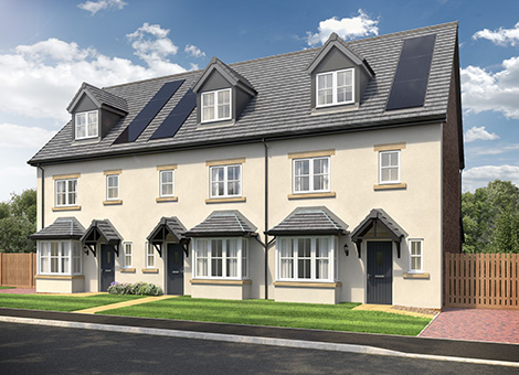 Scotby Grove