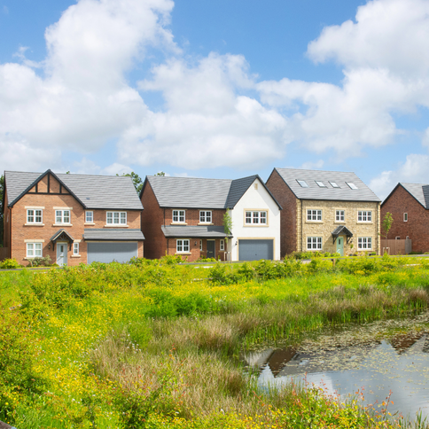 Street scene image from D'Urton Manor, including SUDS pond