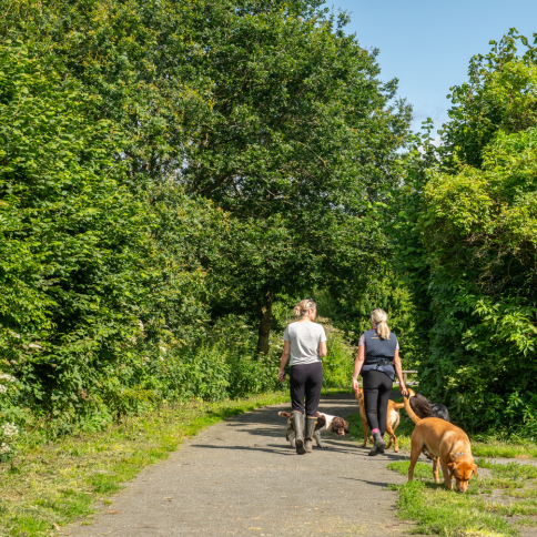 Two women and dogs walking at Tanfield