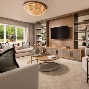 Lounge with media wall and sofas