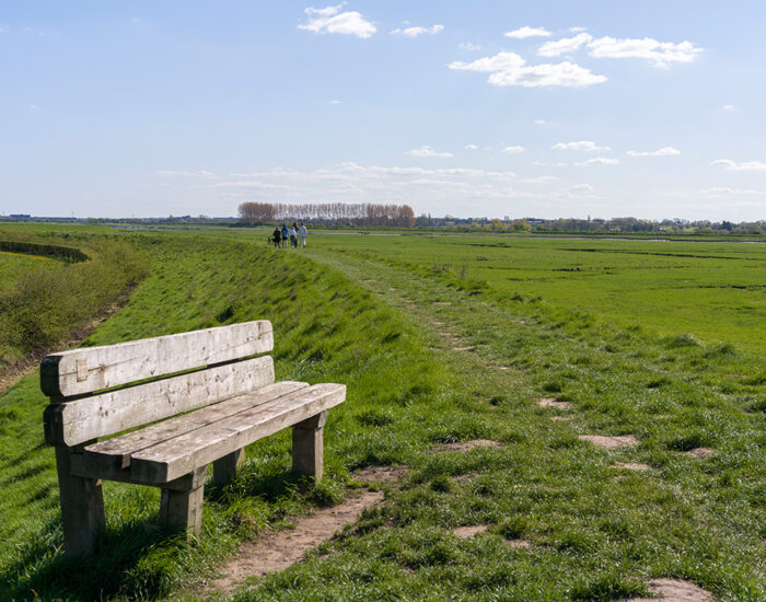 Longton Brickcroftt 3